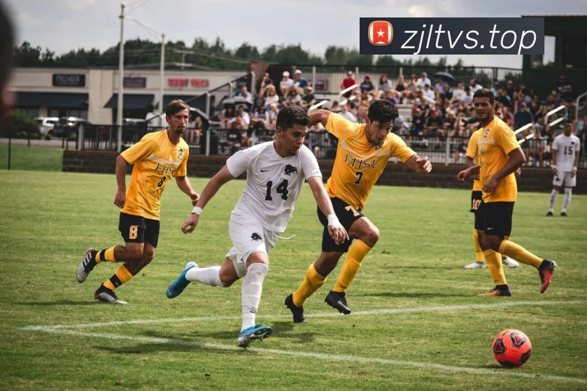 数据防护可视化